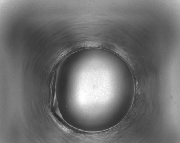 X0000061730013200512050946