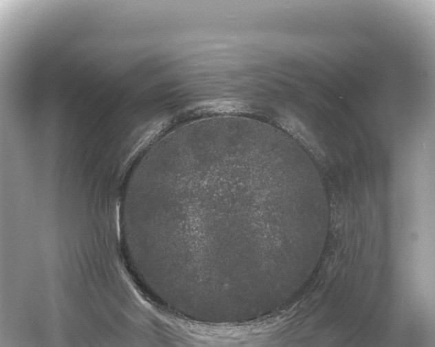 X0000061730014200512050946