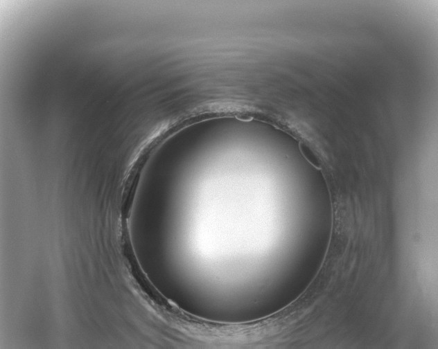 X0000061730015200512050946