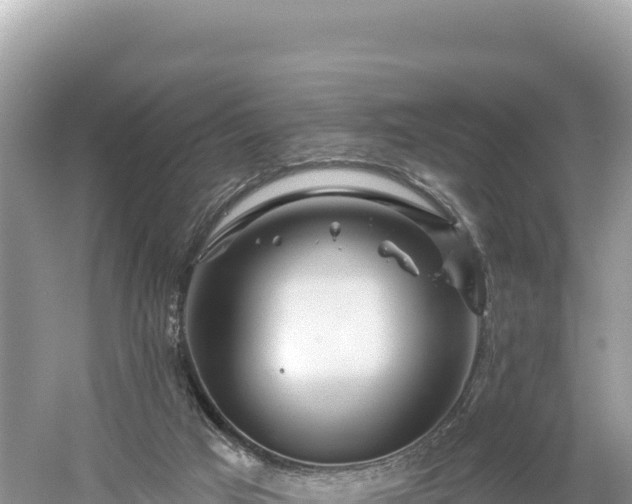 X0000061730017200512050946