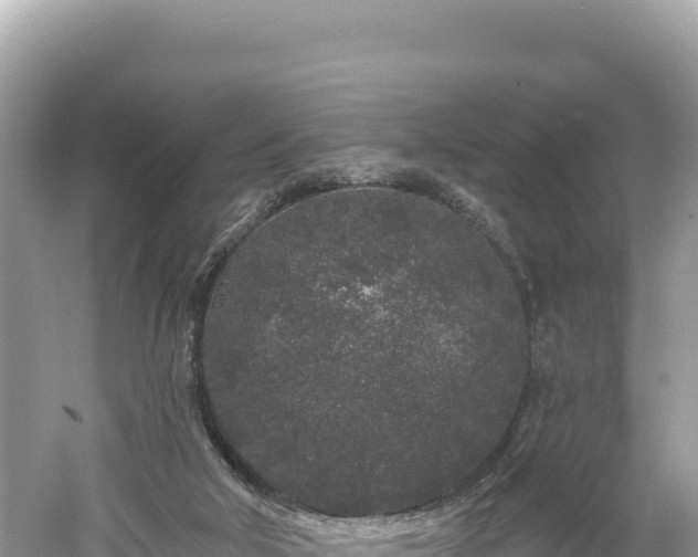 X0000061730018200512050946