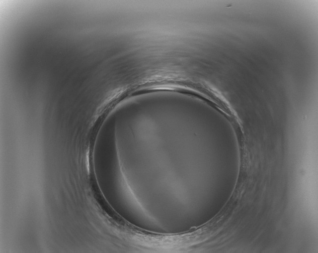 X0000061730019200512050946