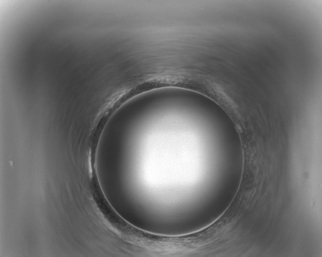 X0000061730020200512050946