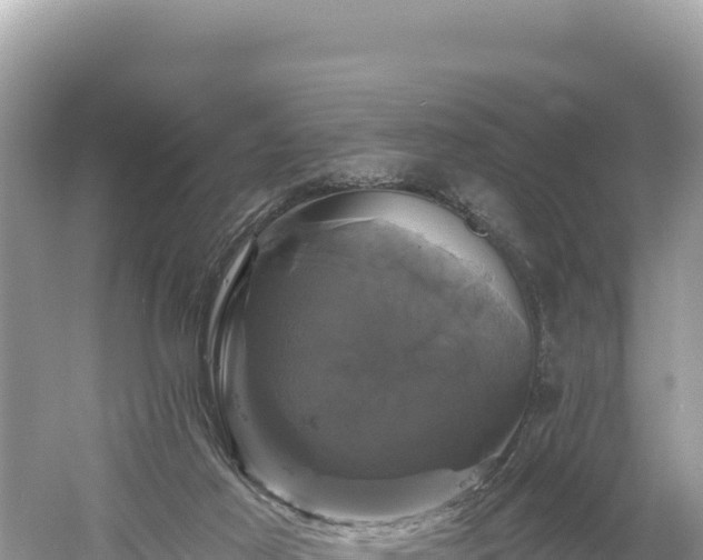 X0000061730021200512050946