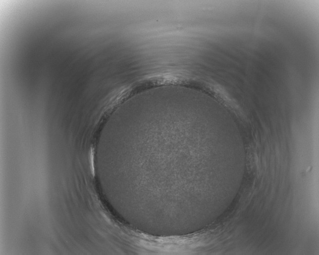 X0000061730022200512050946