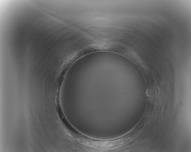 X0000061730023200512050946