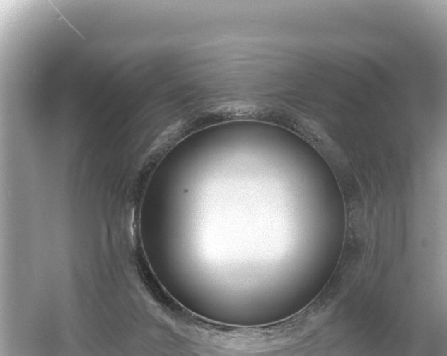 X0000061730024200512050946