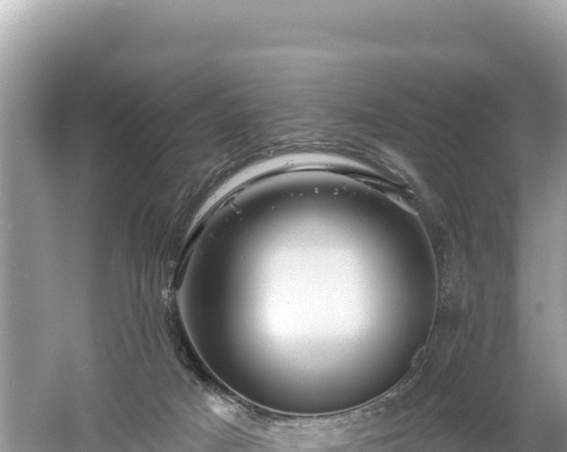 X0000061730025200512050945