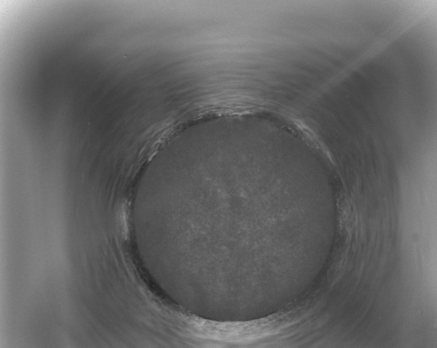 X0000061730026200512050945