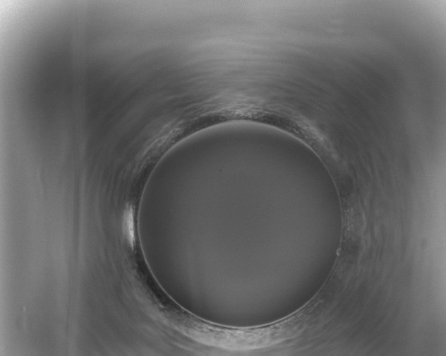 X0000061730027200512050945