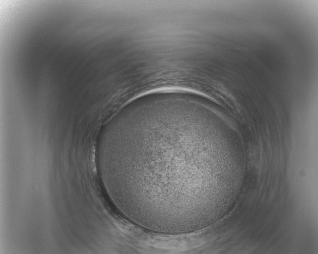 X0000061730029200512050945