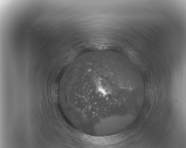 X0000061730030200512050945