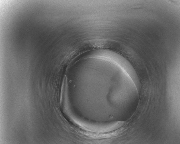 X0000061730031200512050945