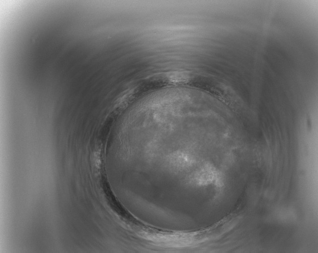 X0000061730032200512050945