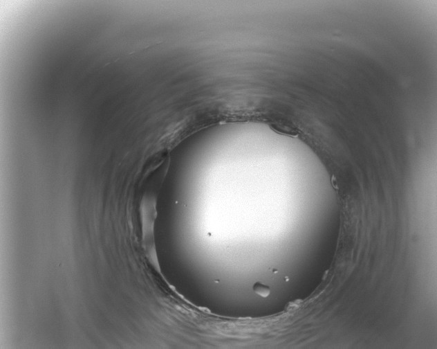 X0000061730033200512050945