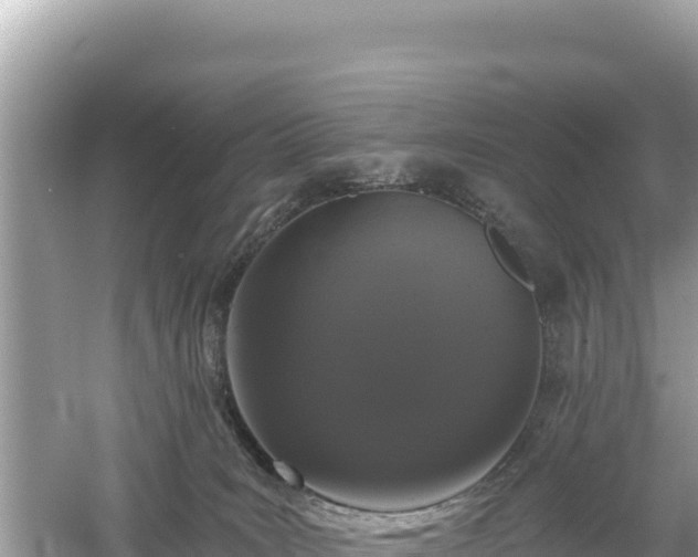 X0000061730035200512050945