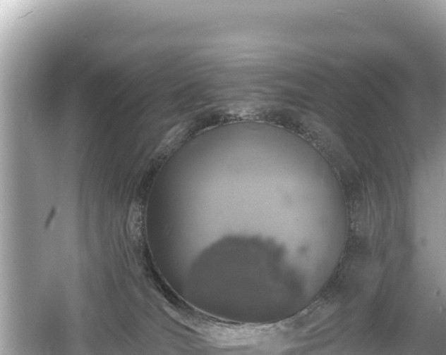 X0000061730036200512050945