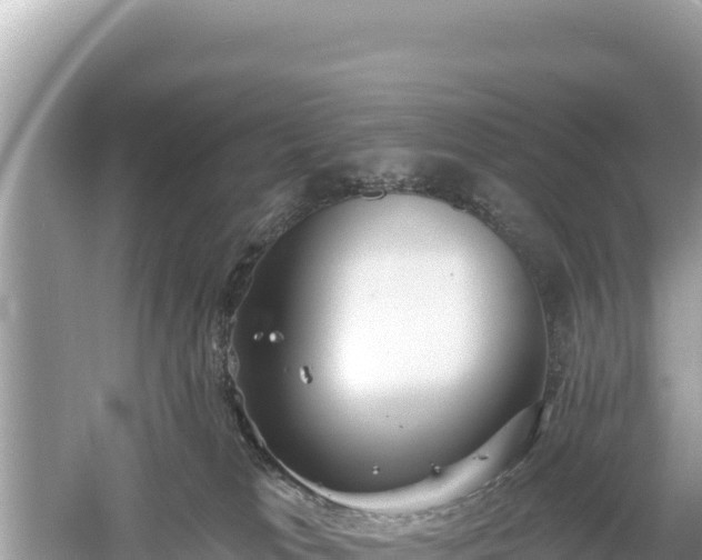 X0000061730037200512050945