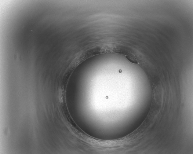 X0000061730038200512050945