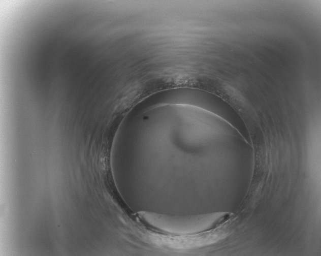 X0000061730039200512050945