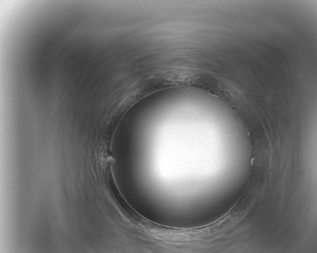 X0000061730040200512050945