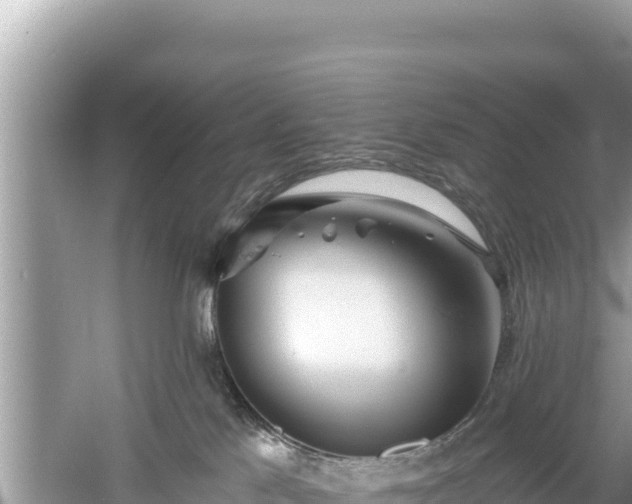 X0000061730041200512050945