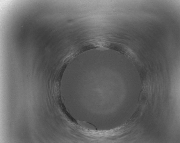 X0000061730043200512050945