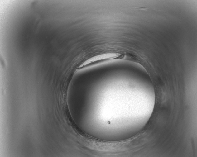 X0000061730044200512050945