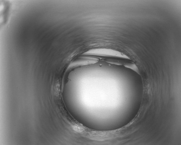 X0000061730045200512050945