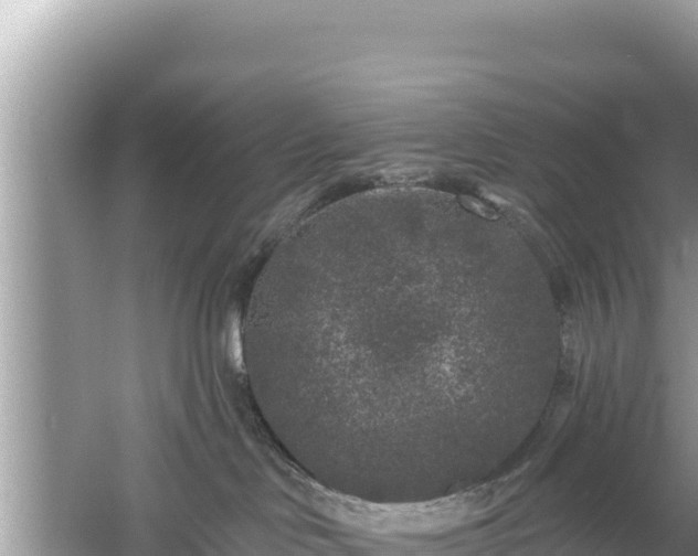 X0000061730046200512050945