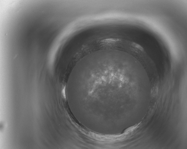 X0000061730047200512050945