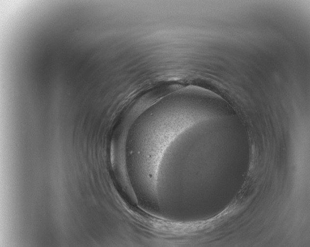 X0000061730048200512050945