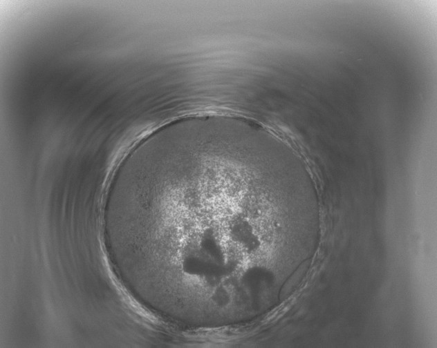 X0000061730049200512050944