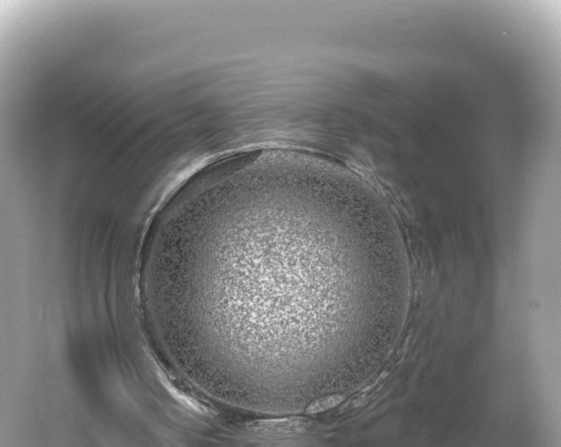 X0000061730050200512050944