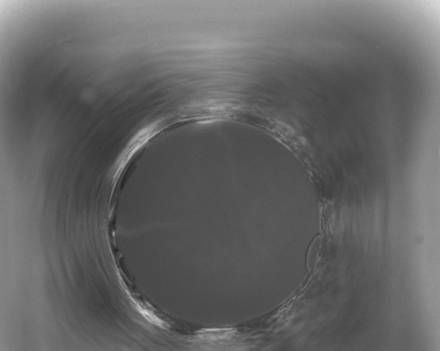 X0000061730051200512050944