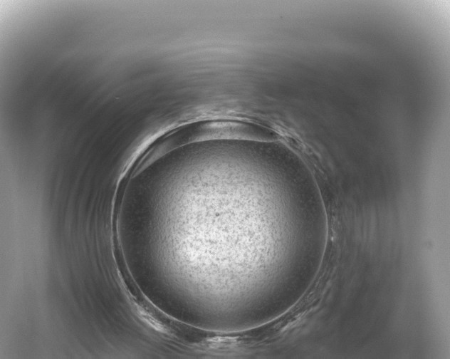 X0000061730052200512050944