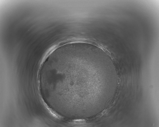 X0000061730053200512050944