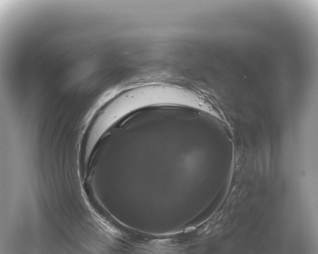 X0000061730054200512050944