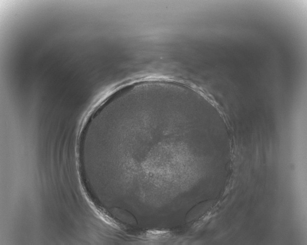 X0000061730055200512050944