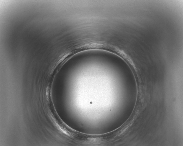 X0000061730057200512050944