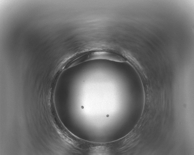 X0000061730058200512050944