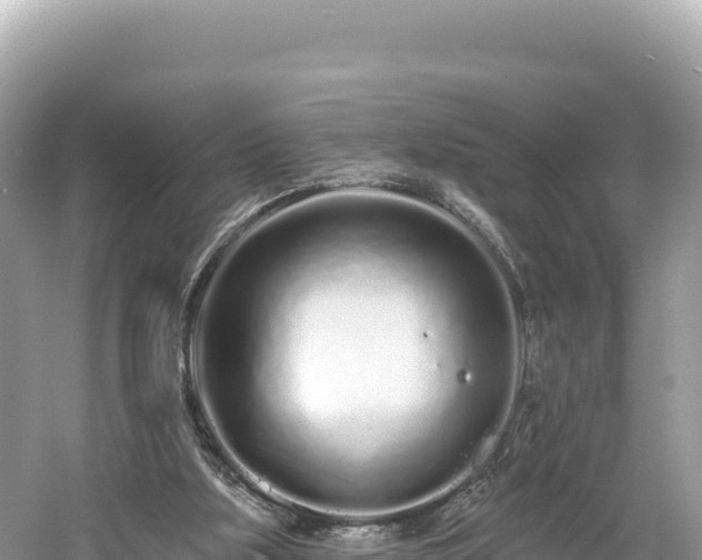 X0000061730059200512050944