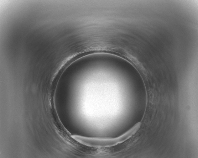 X0000061730060200512050944