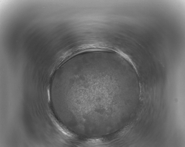 X0000061730061200512050944