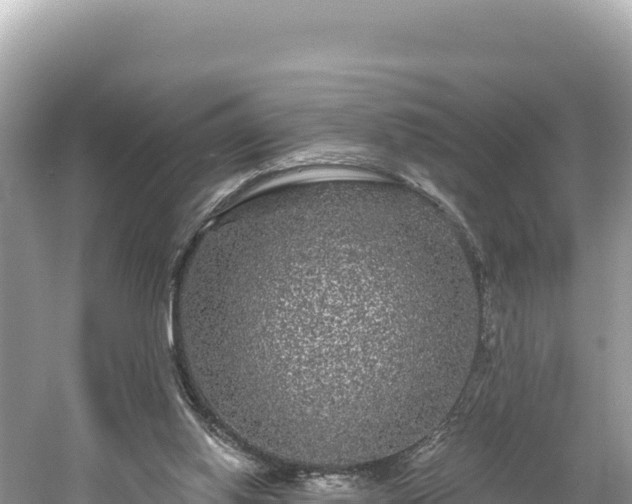 X0000061730062200512050944