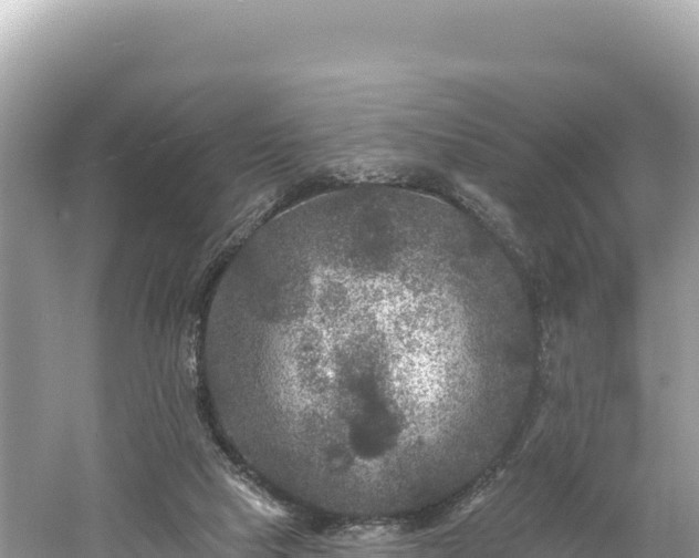 X0000061730065200512050945