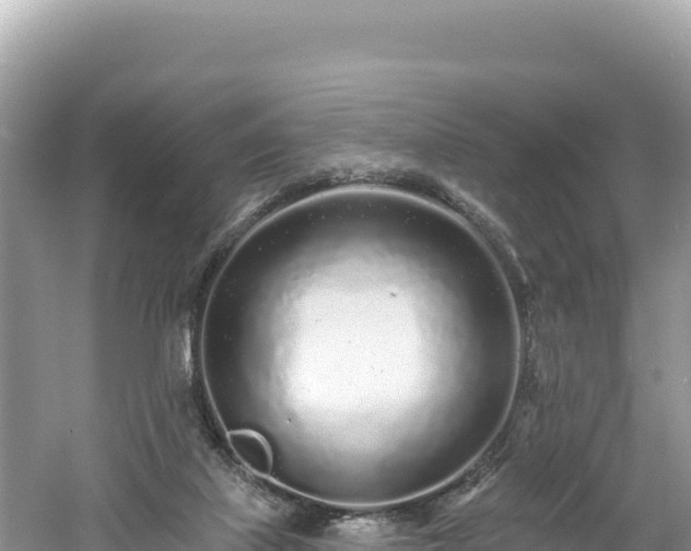 X0000061730067200512050945