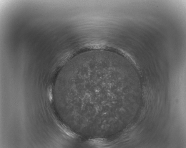 X0000061730069200512050945