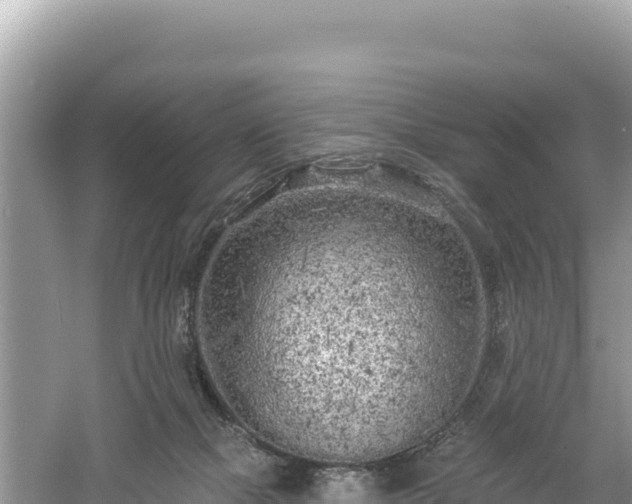 X0000061730073200512050945