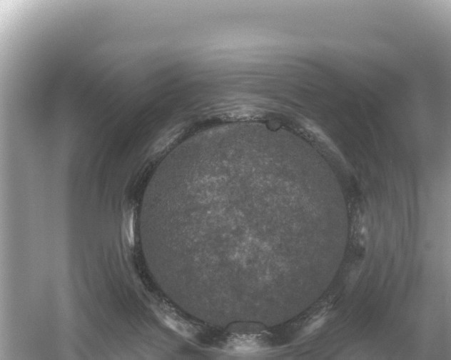 X0000061730076200512050945